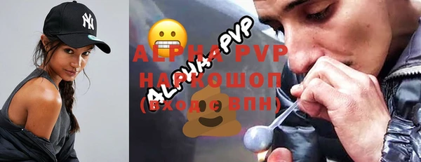 ECSTASY Пересвет