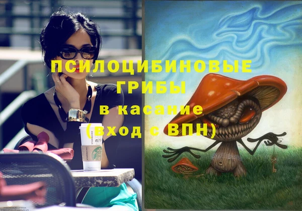 ECSTASY Пересвет