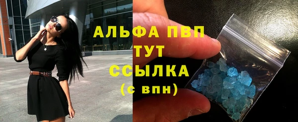 ECSTASY Пересвет