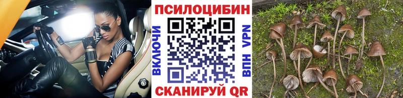 Псилоцибиновые грибы MAGIC MUSHROOMS  наркотики  площадка какой сайт  Остров 